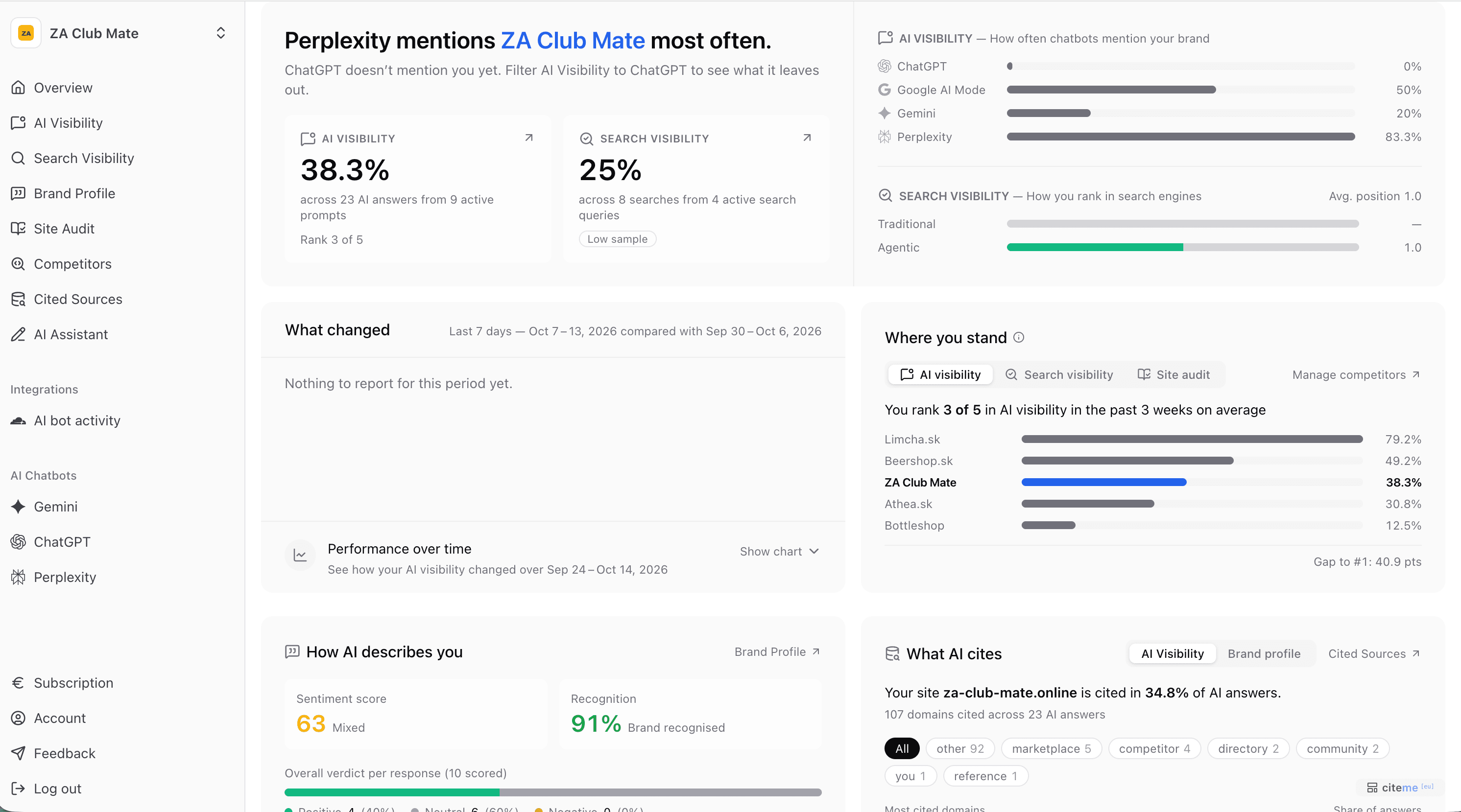 The Overview page: briefing, AI and search visibility, where you stand, collected data and what changed